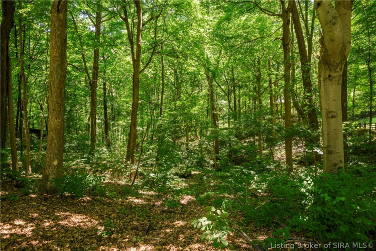 Listing Image 54