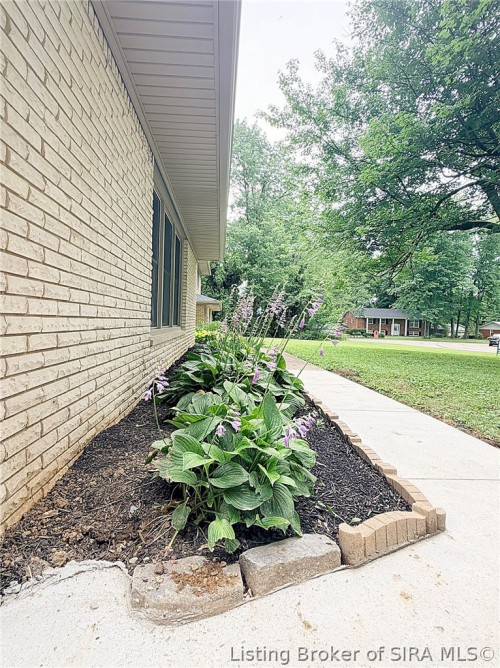 Listing Image 52